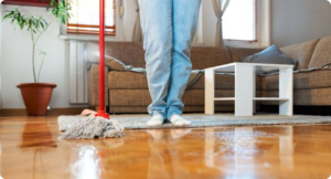 Structure & Carpet Drying