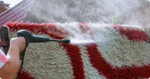 Structure and Carpet Drying