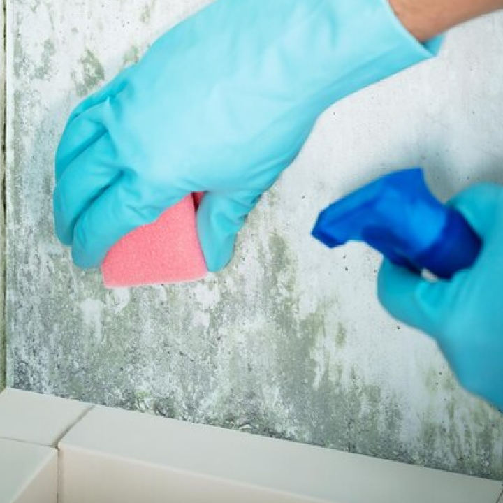 Flood and Water Damage Restoration